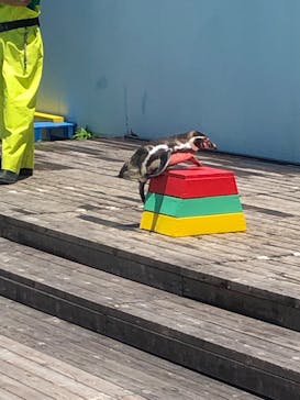 南知多ビーチランド＆南知多おもちゃ王国に投稿された画像（2023/6/4）