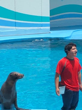 南知多ビーチランド＆南知多おもちゃ王国に投稿された画像（2023/6/4）