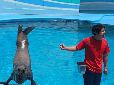 南知多ビーチランド＆南知多おもちゃ王国に投稿された画像（2023/6/4）