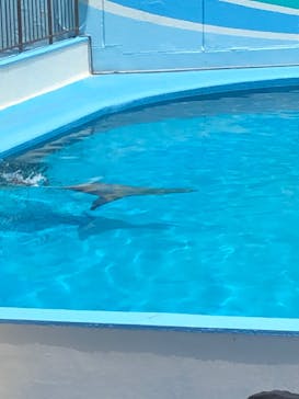 南知多ビーチランド＆南知多おもちゃ王国に投稿された画像（2023/6/4）