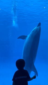 名古屋港水族館に投稿された画像（2023/6/4）