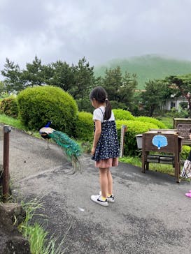 伊豆シャボテン動物公園に投稿された画像（2023/6/4）