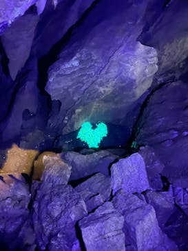 あぶくま洞に投稿された画像（2023/6/4）