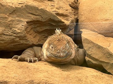 体感型動物園iZooに投稿された画像（2023/6/4）