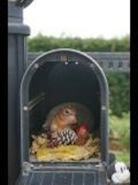 京成バラ園に投稿された画像（2023/6/4）