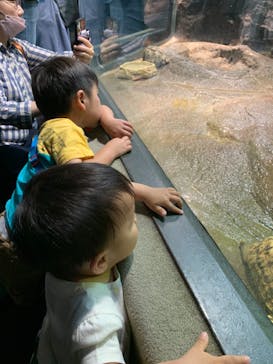 サンシャイン水族館に投稿された画像（2023/6/4）