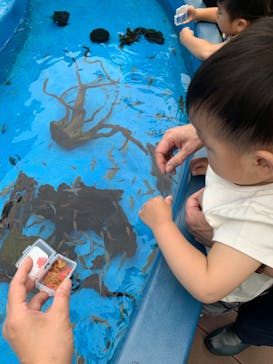 サンシャイン水族館に投稿された画像（2023/6/4）