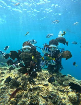 青の洞窟専門店　沖縄ダイビングショップ和に投稿された画像（2023/6/4）