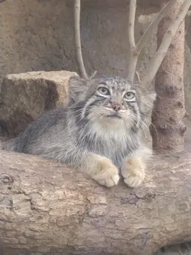 神戸どうぶつ王国に投稿された画像（2023/6/4）