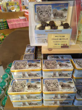 神戸どうぶつ王国に投稿された画像（2023/6/4）