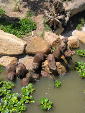神戸どうぶつ王国に投稿された画像（2023/6/4）