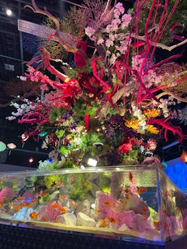 ネオパークオキナワに投稿された画像（2023/6/4）