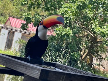 ネオパークオキナワに投稿された画像（2023/6/4）