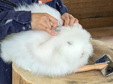 那須どうぶつ王国に投稿された画像（2023/6/5）