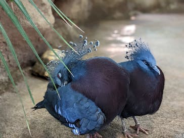 那須どうぶつ王国に投稿された画像（2023/6/5）