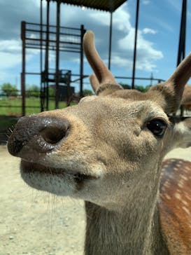 東北サファリパークに投稿された画像（2023/6/5）