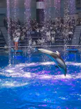 マクセル アクアパーク品川に投稿された画像（2023/6/5）