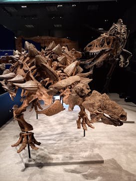 特別展「恐竜博2023」に投稿された画像（2023/6/5）