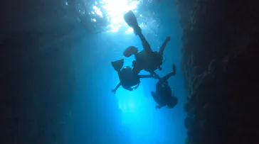 武藤潜水に投稿された画像（2023/6/5）