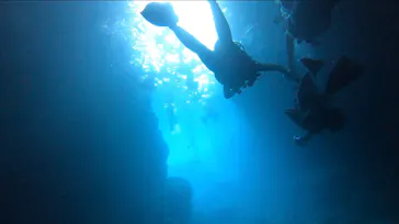 武藤潜水に投稿された画像（2023/6/5）