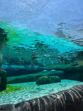 天王寺動物園に投稿された画像（2023/6/5）