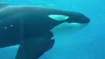 名古屋港水族館に投稿された画像（2023/6/5）