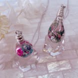 ずこうしつ〜sugamo〜に投稿された画像（2023/6/5）