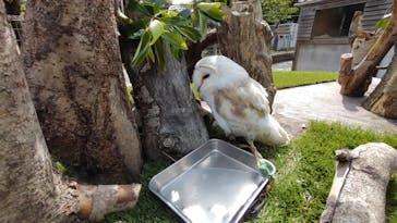 伊豆アニマルキングダムに投稿された画像（2023/6/5）