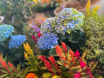 サンシャイン60展望台に投稿された画像（2023/6/5）