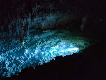 おきなわワールドに投稿された画像（2023/6/5）