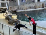 城崎マリンワールドに投稿された画像（2023/6/5）