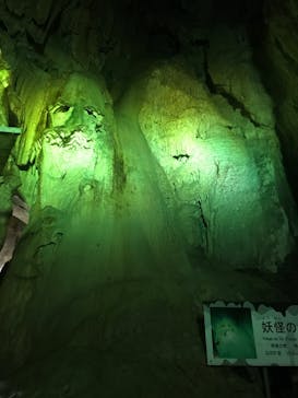 あぶくま洞に投稿された画像（2023/6/5）