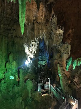 あぶくま洞に投稿された画像（2023/6/5）