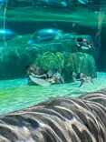 天王寺動物園に投稿された画像（2023/6/6）