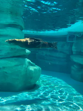 天王寺動物園に投稿された画像（2023/6/5）