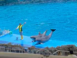 名古屋港水族館に投稿された画像（2023/6/6）