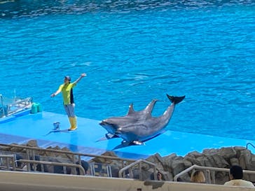 名古屋港水族館に投稿された画像（2023/6/5）