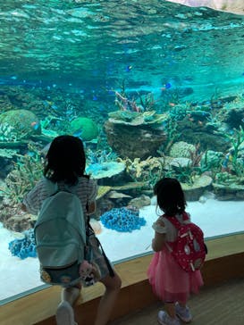 名古屋港水族館に投稿された画像（2023/6/5）