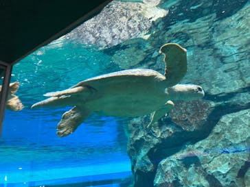 名古屋港水族館に投稿された画像（2023/6/5）