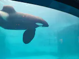 名古屋港水族館に投稿された画像（2023/6/6）