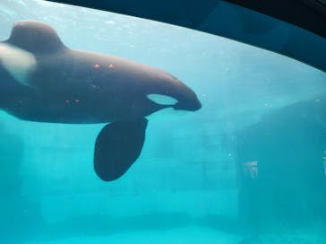 名古屋港水族館に投稿された画像（2023/6/6）
