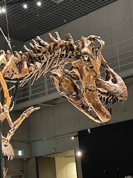 特別展「恐竜博2023」に投稿された画像（2023/6/6）