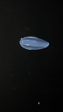 環境水族館アクアマリンふくしまに投稿された画像（2023/6/6）