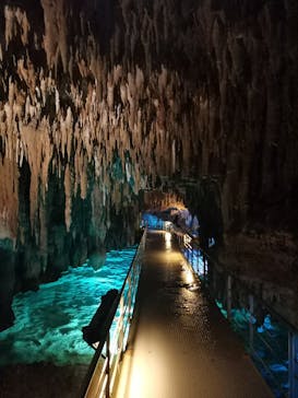 おきなわワールドに投稿された画像（2023/6/6）