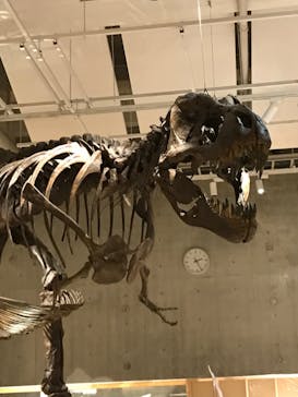 国立科学博物館に投稿された画像（2023/6/6）