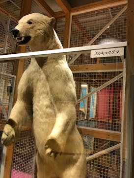 国立科学博物館に投稿された画像（2023/6/6）