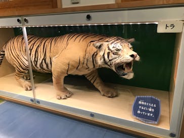 国立科学博物館に投稿された画像（2023/6/6）