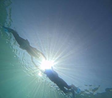 宮古島 ADVENTURE PiPi（ミヤコジマ アドベンチャー ピピ）に投稿された画像（2023/6/6）