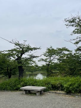 三溪園に投稿された画像（2023/6/6）