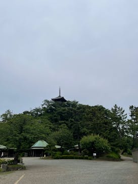 三溪園に投稿された画像（2023/6/6）